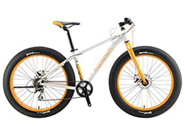 Fat bike Fat bike